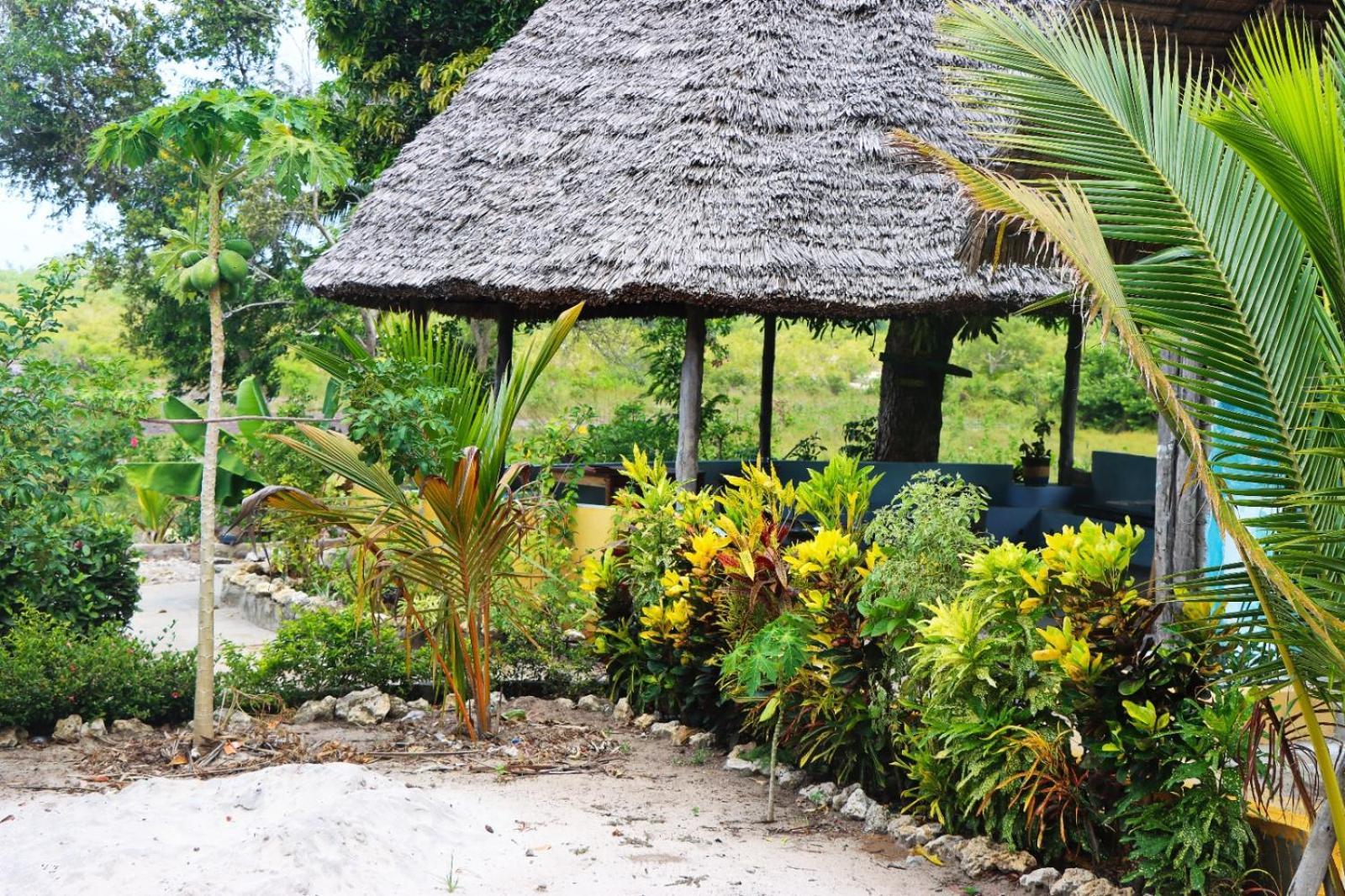 Bed and Breakfast Rasta House à Kilindoni Extérieur photo