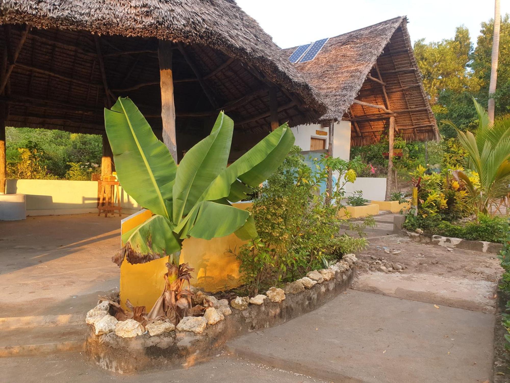 Bed and Breakfast Rasta House à Kilindoni Extérieur photo
